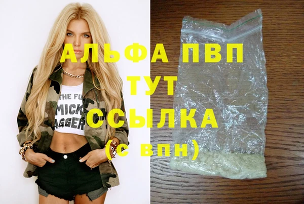 2c-b Гусев
