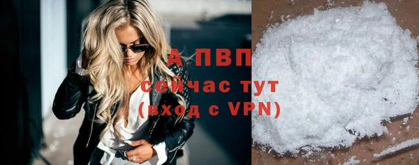 2c-b Гусев